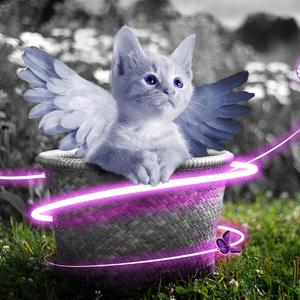 舒淇古装露逼视频
